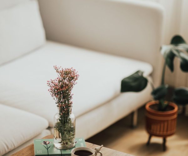 The Vedanta 3 BHK Apartments